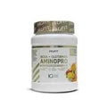 BCAA + Glutamine Amino Pro 500g